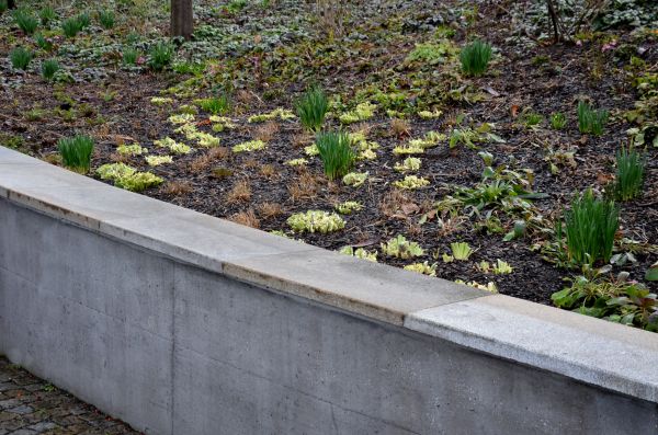 Concrete Wall Construction in Murrieta