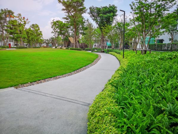Cement Walkway Service in Murrieta