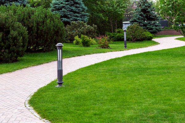 Backyard Sidewalk Installation in Murrieta