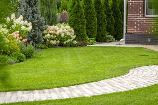 Landscape Walkway Installation in Murrieta
